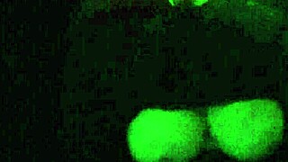 ever wonder how this italian milf artemisia flashes her massive horny tits while driving her car?