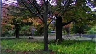 every first time remake song lyric hits me deep listening old ones