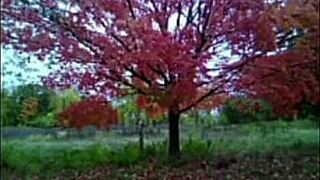 every first time remake song lyric hits me deep listening old ones