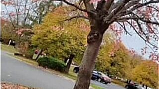 every first time remake song lyric hits me deep listening old ones