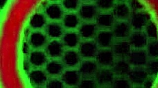 Angelina Castro Teases Big Clit Pussy Lips and Spreads Juicy Big Ass