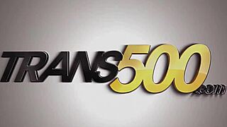 Take this huge cock up your tight tranny ass till you scream!