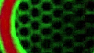 Lesbian cougars Kailani Kai explore intimate moments together