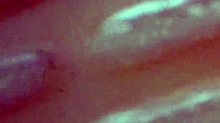 Domme mommy busts chuymaury's balls in pantyhose shoes!