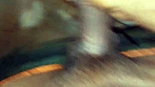 punheta solo com pauzudo rj 14 27