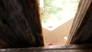 peeking over the fence for sneaky outdoor fucking