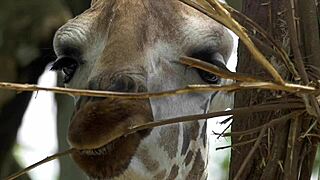 why don't girls cum during yoga sessions like this?