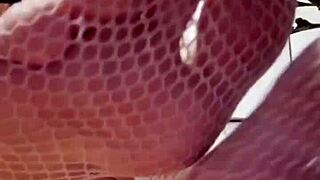 Elza Koms' fetish feet make me beg and drip in submission