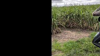 Holy fuck, huge-titted Aussie bimbo milf flaunts curves on gold coast beach!