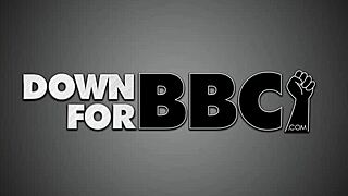 krissy lynn goes down for bbc in the gloryhole bathroom