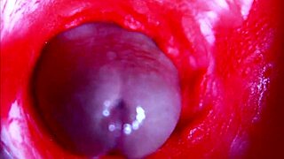 extreme close-up inside pregnant wet pussy