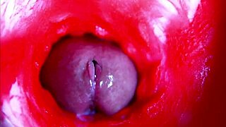 extreme close-up inside pregnant wet pussy