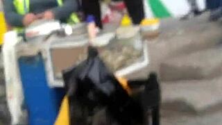 Nalgona's Huge Peruvian Ass Explodes in Ceres!