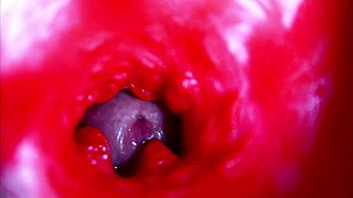 extreme close-up inside pregnant wet pussy