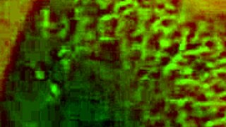 Latina wife bends over begging two cocks to stuff her mouth