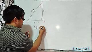 Nerdy teacher breaks down sexy Pythagoras math theorem