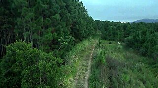 voyeur spies latina redhead with big tits unleashing wild outdoor putaria frenzy