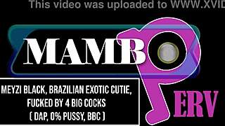 meyzi black brazilian exotic cutie stretched by 4 big cocks dap atm dirty talk