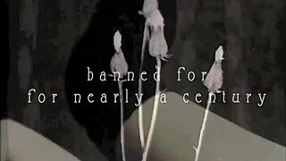 Vintage Silent Films Collection