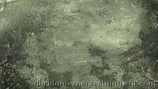 imagine victorian gentleman's stiff poker erotic confessions in retro group fun