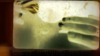 Soft white teen worships huge black cock in car compilation