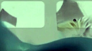 Soft white teen worships huge black cock in car compilation