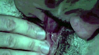 dark lantern entertainment presents vintage dragonfly classic