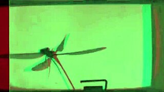 dark lantern entertainment presents vintage dragonfly classic