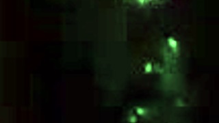 why can't i stop these ebony monster cock throatpies?