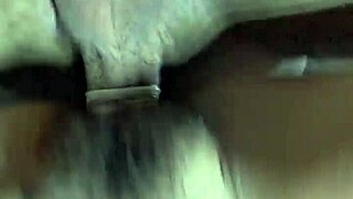 my wife takes that big stud cock