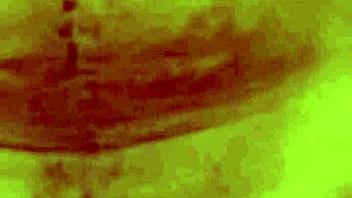 ever notice how she rides cock perfectly in the dorm bedroom, babe's natural tits bouncing just right?