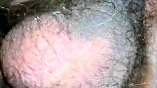 quieres que me folle solo por el culo?