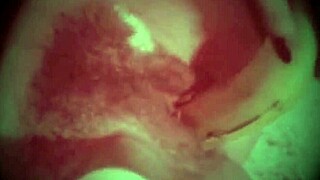 my secret vintage life hairy beaver blowjob erotic fucking retro style