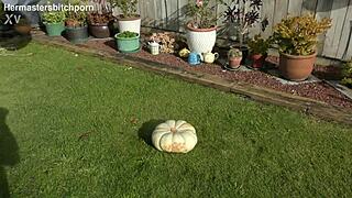 kiwi milf squats huge pumpkin on her pierced pussy outdoors!