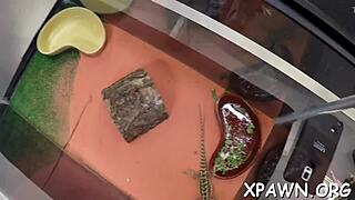 exhibitionist amateur bends over, sucks big cock then takes doggystyle pounding