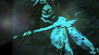 dark lantern entertainment presents dragonfly scene two part two