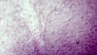 i love how my natural dick makes her scream during cunnilingus close up