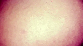 Infiel latina teen lets me inspect her wet shaved coño before intimate fuck