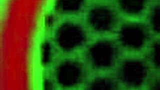 Moe John and milf girlfriend dive into deepthroat bedroom fun.