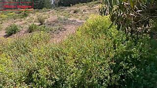 Why Fuck on the Beach When Cowgirl Cum Tastes Better?