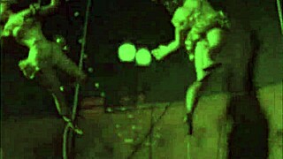 vintage erotic art captures retro hairy beaver vibes