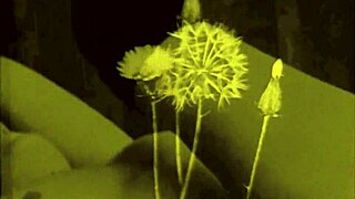 Vintage Erotic Art Featuring Hairy Retro Scenes