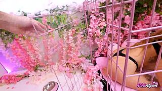 salome the feral french whore begs for cum in pink room ep 26