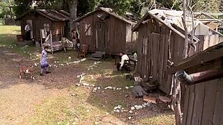 Want Amber Rayne, Hannah West, Kaci Star gangbanged outdoors?