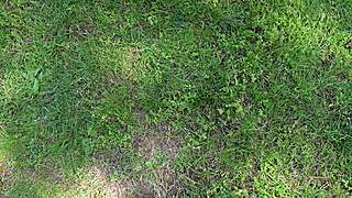 Brooke Tilli shyly squirts in class fantasizing about you intensely