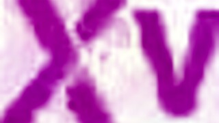 Ever wonder how deep those Hayek sisters take anal destruction from huge black cock?