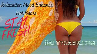 sweet scandinavian babes in bikinis vibe on beach with chill tunes