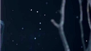 Naughty hotel mistress gulps down big black intruder's sweet cum juice after drunken fun