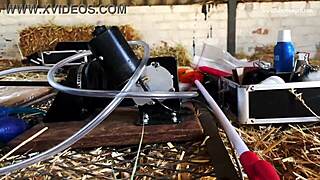 Dominatrix mistress april binds and fucks her whore in rosen garden part 3