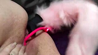 chubby fox takes double penetration from two studs